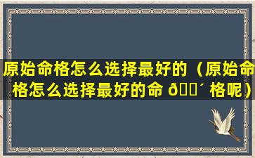 原始命格怎么选择最好的（原始命格怎么选择最好的命 🐴 格呢）